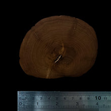 Load image into Gallery viewer, BMSWS186 Black Meat Figured Mysore Sandalwood Slice 7.6mm Thickness 41.2 grams
