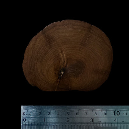 BMSWS187 Black Meat Figured Mysore Sandalwood Slice 7.7mm Thickness 40.3 grams