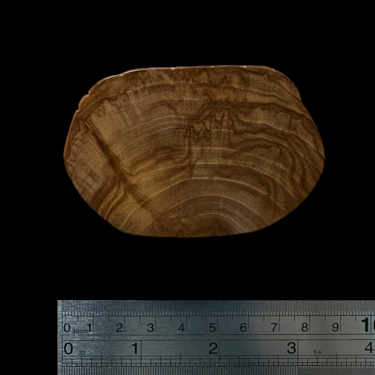 BMSWS098 Black Meat Figured Mysore Sandalwood Slice 9.4mm Thickness 28.2 grams