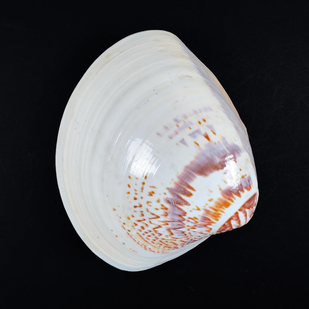Japanese Hamaguri Shell Kōgō Gold Leaf Interior with Mandarin Duck Motif (Pre-loved)
