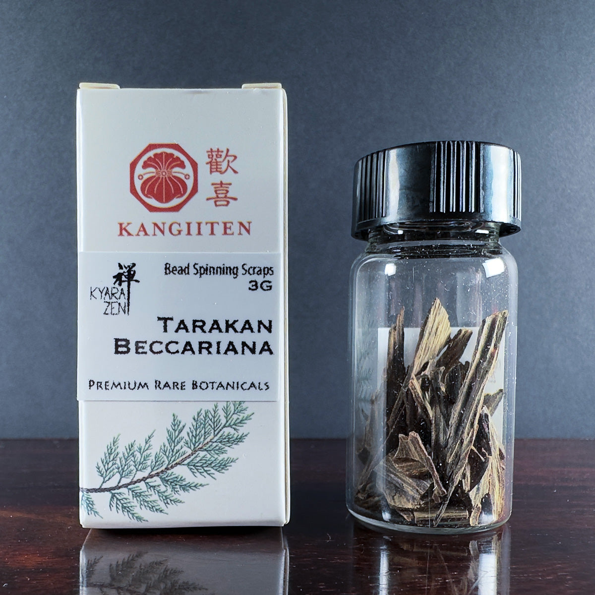 Wild ⁠Tarakan Beccariana 3 gram