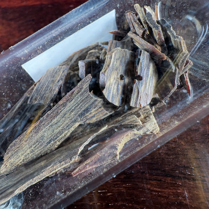 Wild ⁠Tarakan Beccariana 3 gram