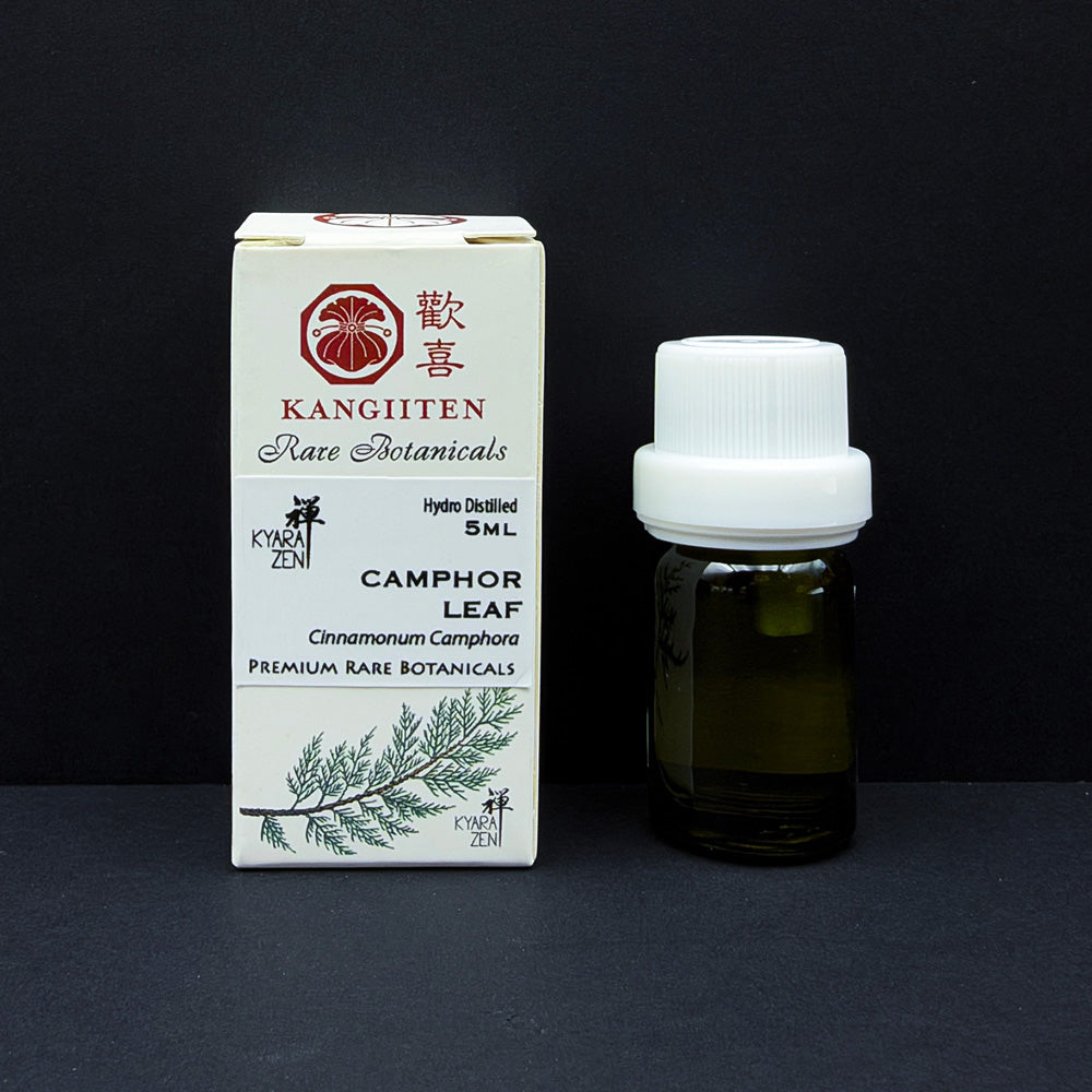Camphor Leaf 5ml (Hydro Distilled)