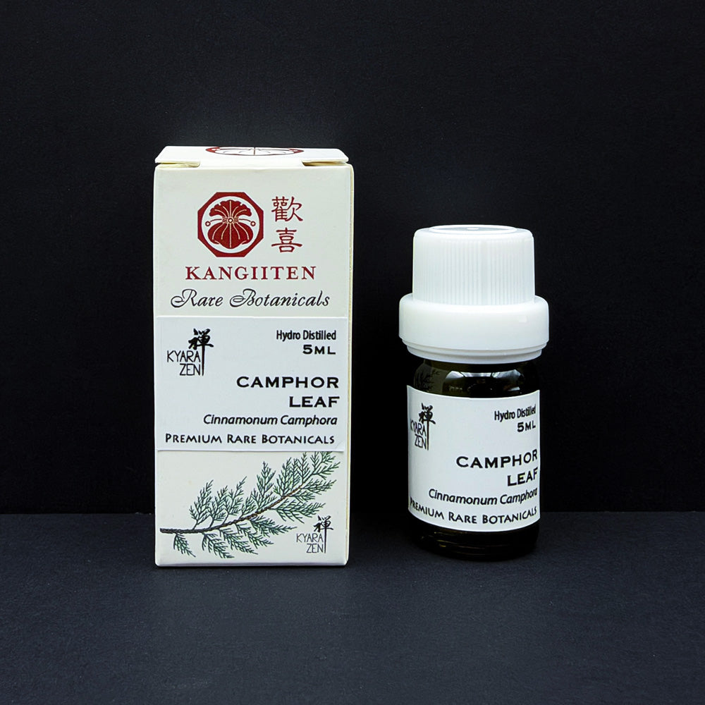 Camphor Leaf 5ml (Hydro Distilled)