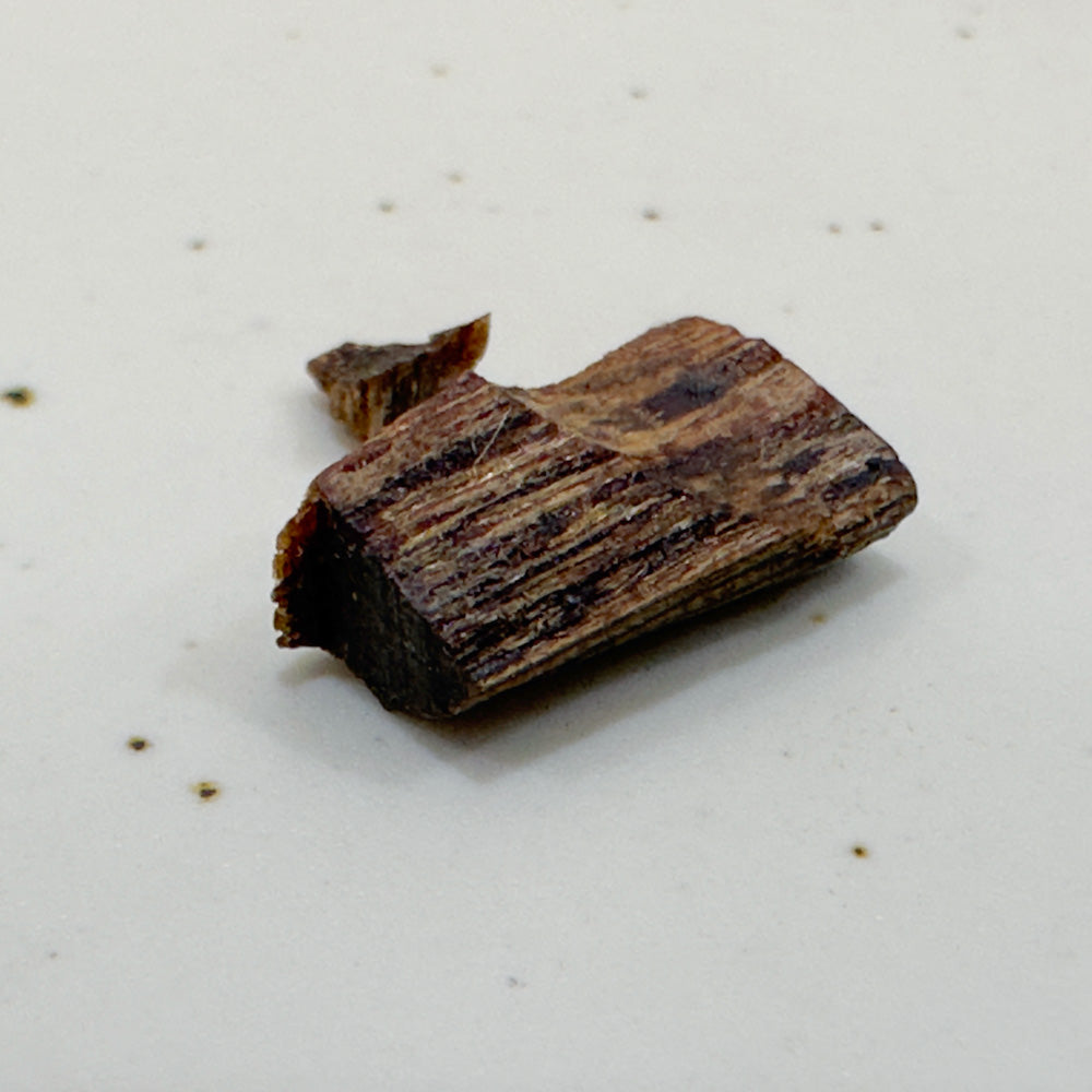 Hon Kyara (Black Oil) 0.1g Legacy Series 本伽羅 (黑油)