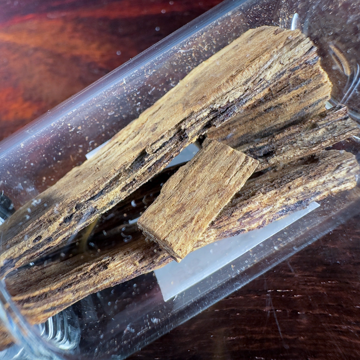Wild Kalimantan Eaglewood 3 gram