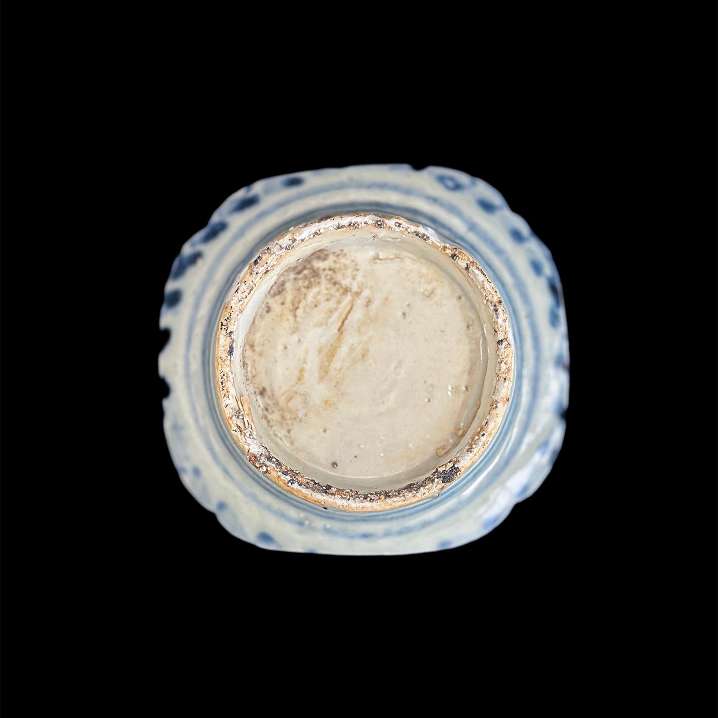 Voyager’s Blue & White (1)