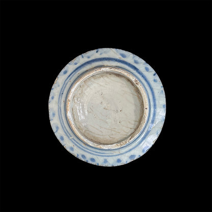 Voyager’s Blue & White (2)