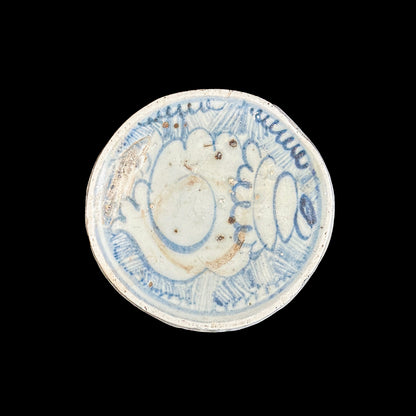 Voyager’s Blue & White (3)