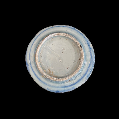 Voyager’s Blue & White (3)