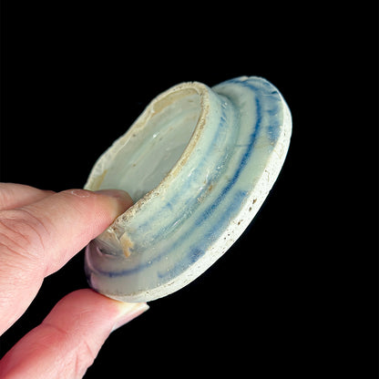 Voyager’s Blue & White (3)