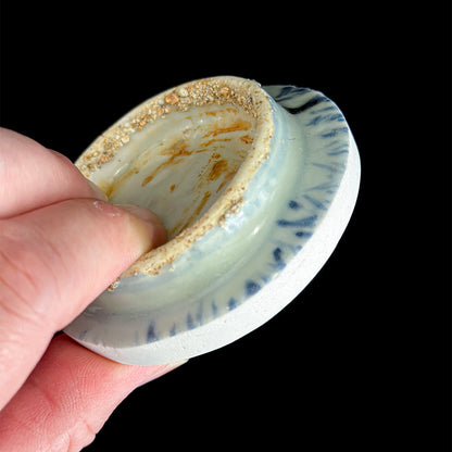 Voyager’s Blue & White (4)