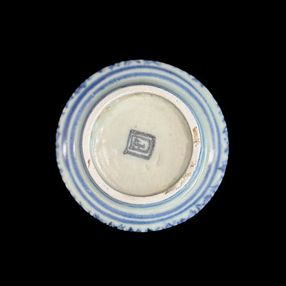 Voyager’s Blue & White (6)