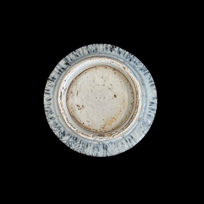 Voyager’s Blue & White (7)