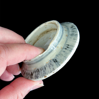 Voyager’s Blue & White (7)