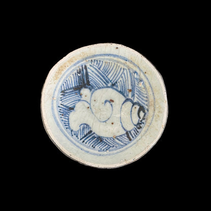 Voyager’s Blue & White (11)