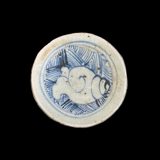 Voyager’s Blue & White (11)