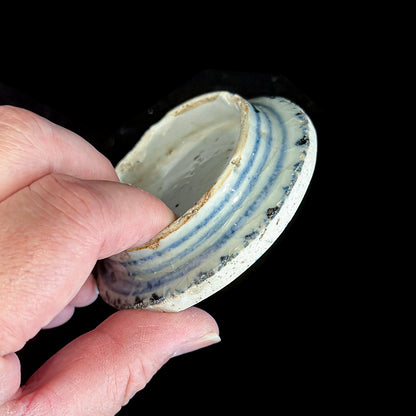 Voyager’s Blue & White (11)