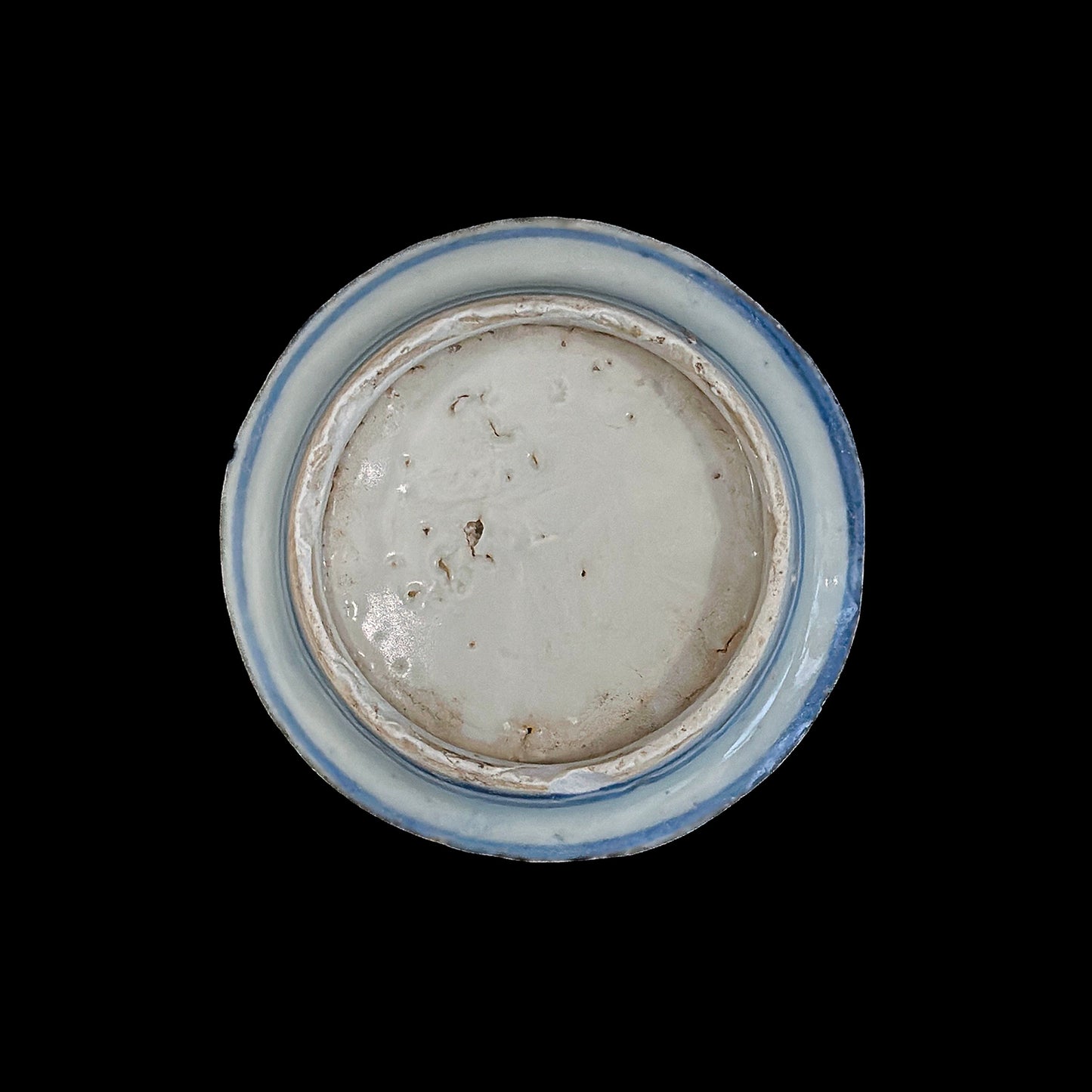 Voyager’s Blue & White (12)