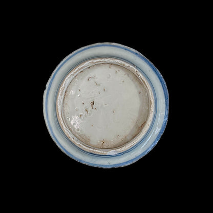 Voyager’s Blue & White (12)