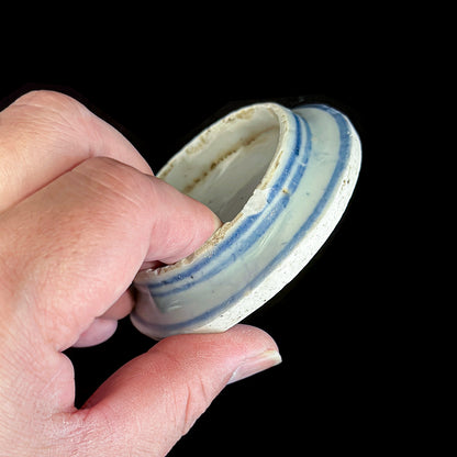 Voyager’s Blue & White (12)