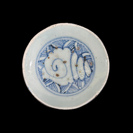 Voyager’s Blue & White (13)