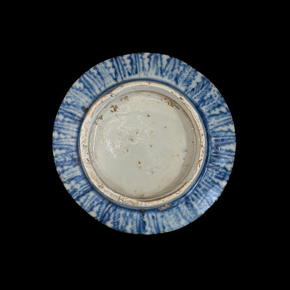 Voyager’s Blue & White (13)