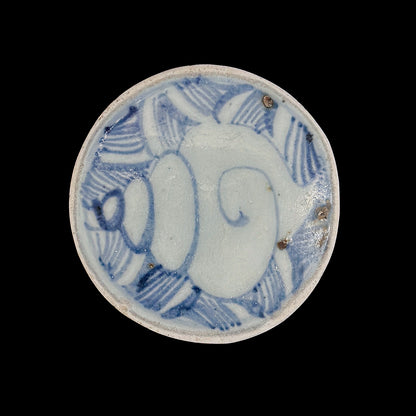 Voyager’s Blue & White (19)