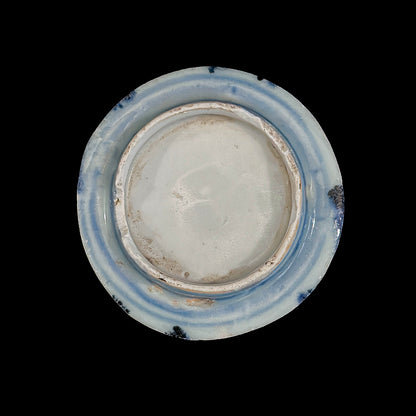 Voyager’s Blue & White (19)