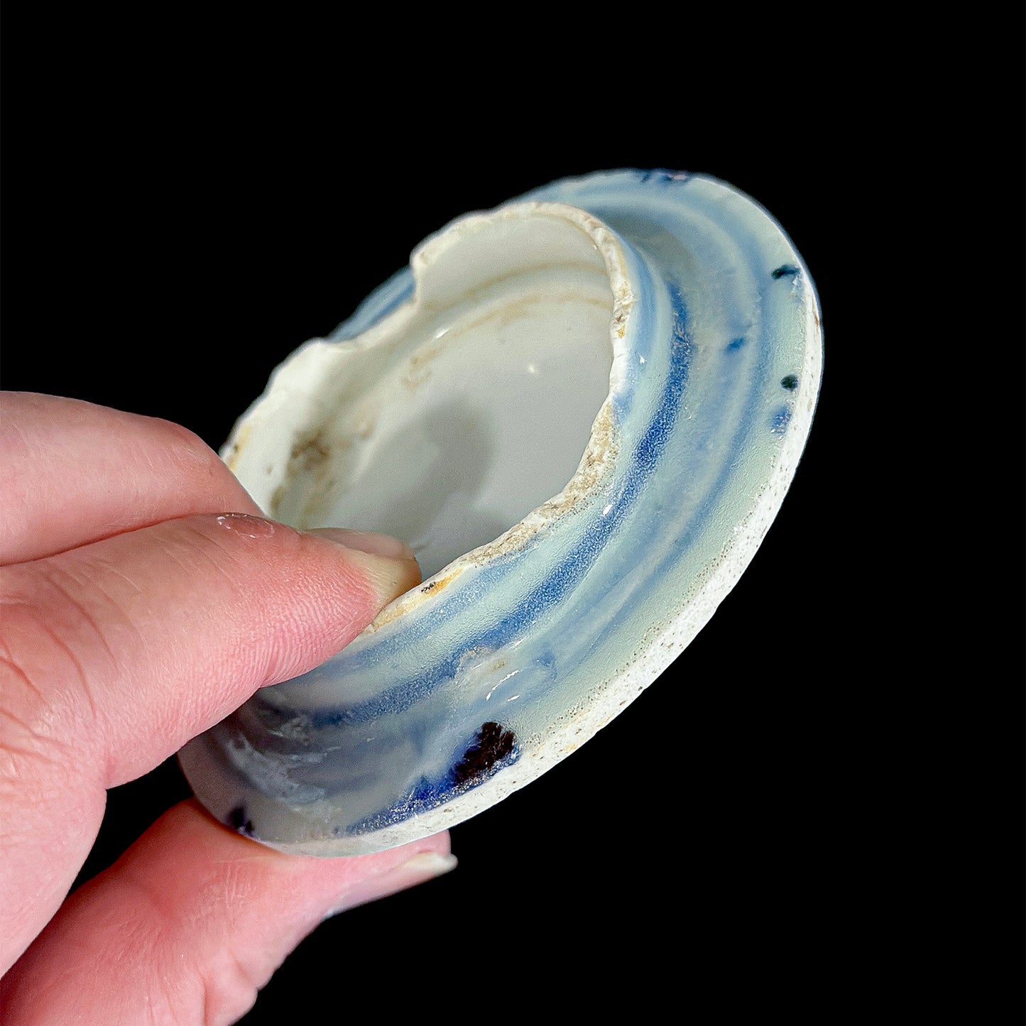 Voyager’s Blue & White (19)