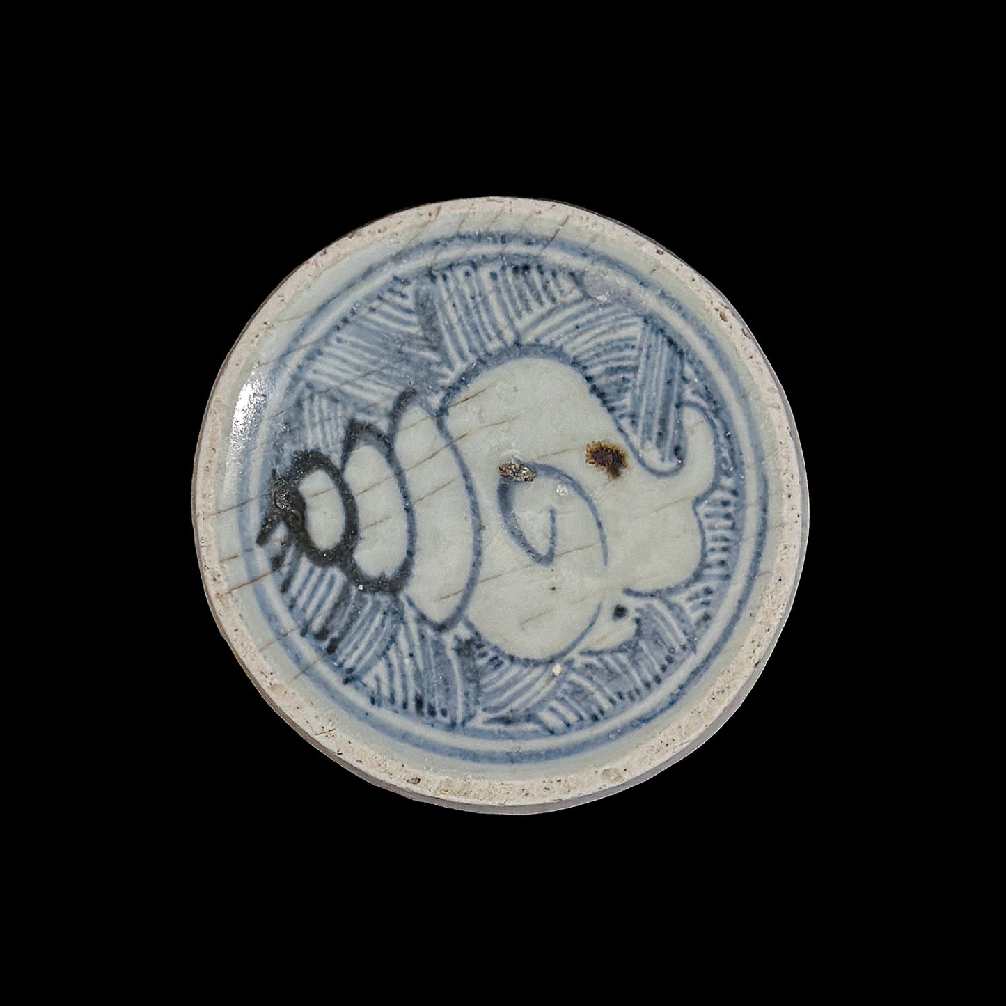 Voyager’s Blue & White (20)