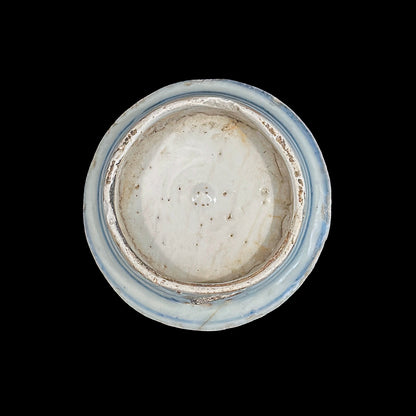 Voyager’s Blue & White (20)