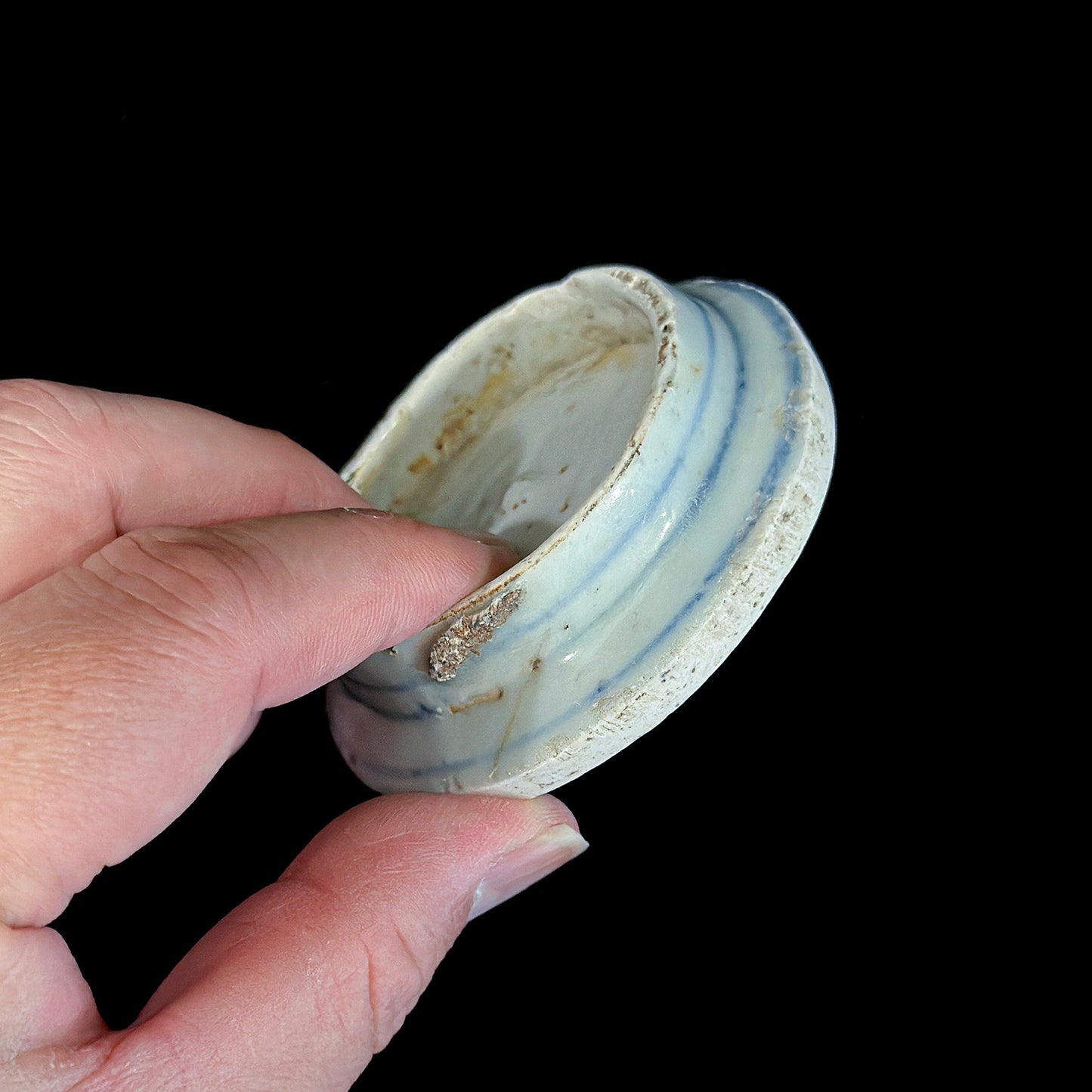 Voyager’s Blue & White (20)