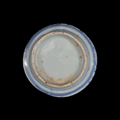 Voyager’s Blue & White (24)