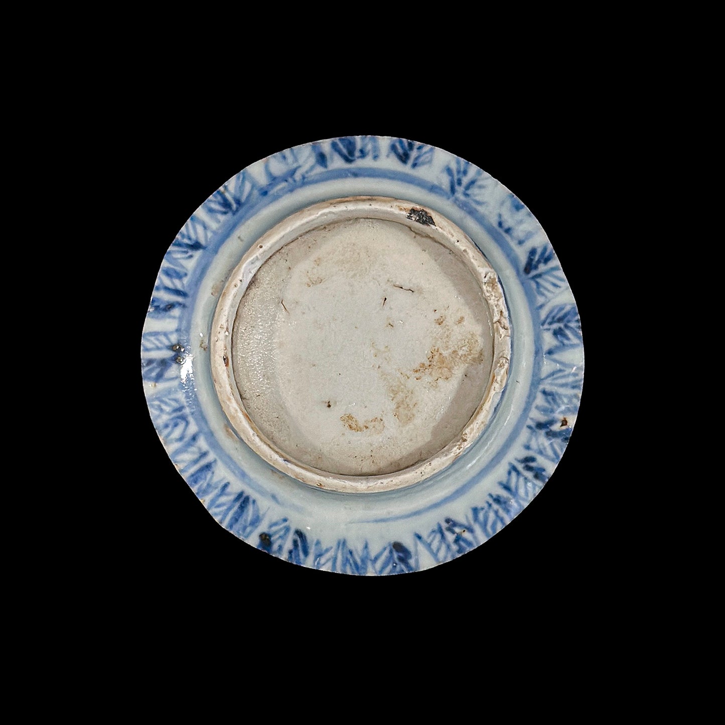 Voyager’s Blue & White (25)