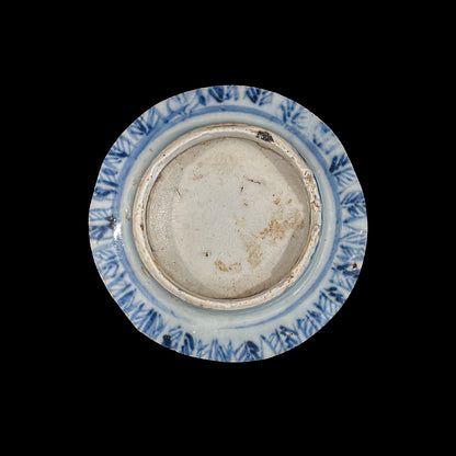 Voyager’s Blue & White (25)