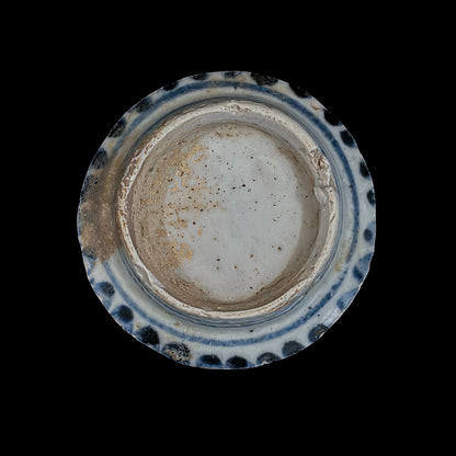 Voyager’s Blue & White (26)