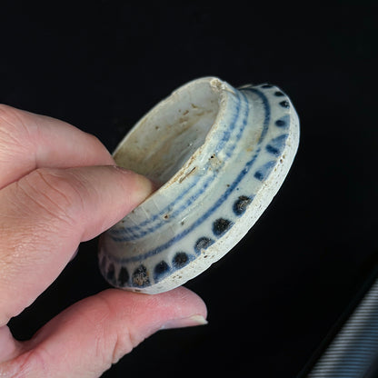 Voyager’s Blue & White (26)