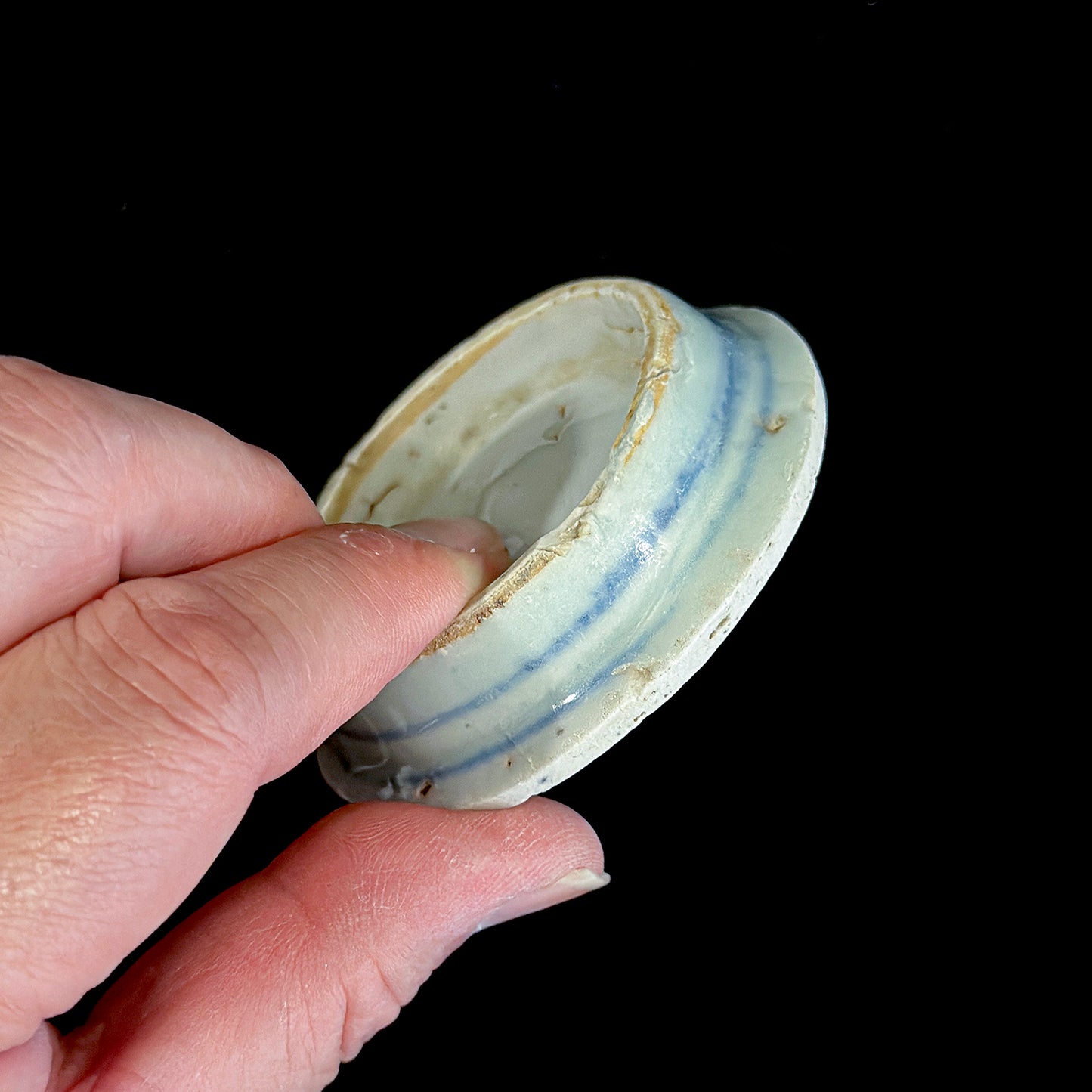 Voyager’s Blue & White (27)