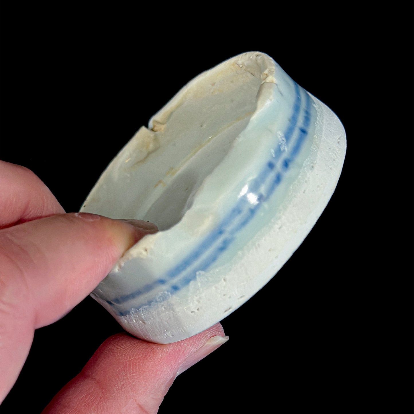 Voyager’s Blue & White (28)