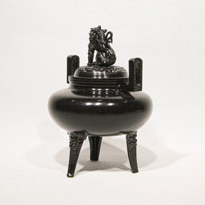 Takaoka Hiramaru Shishigai Koteiro Kōro