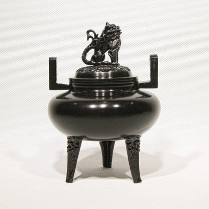 Takaoka Hiramaru Shishigai Koteiro Kōro