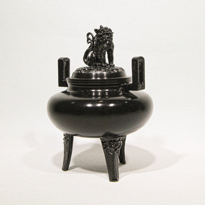 Takaoka Hiramaru Shishigai Koteiro Kōro