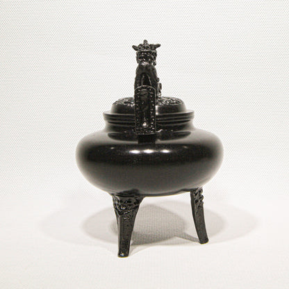 Takaoka Hiramaru Shishigai Koteiro Kōro