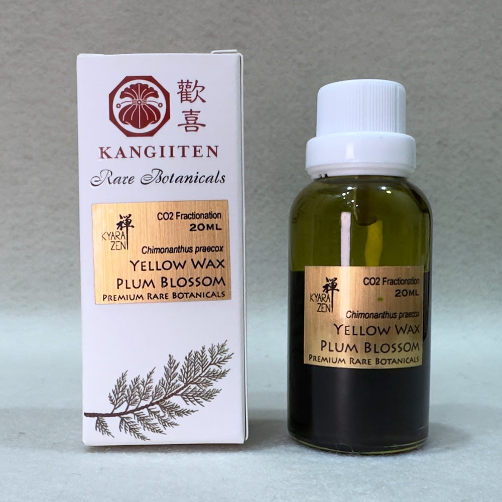 Yellow Wax Plum Blossom 20ml (CO2 Fractionation)