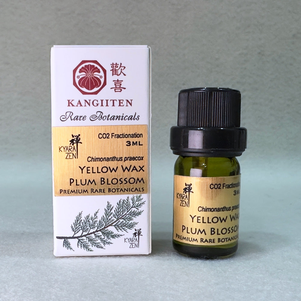 Yellow Wax Plum Blossom 3ml (CO2 Fractionation)
